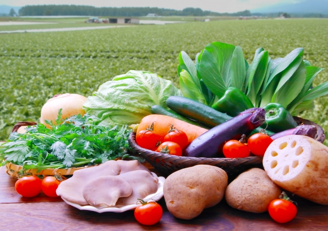 野菜の冷凍保存で栄養は落ちるか