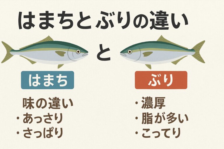 ハマチとブリの違いとは？味・脂・旬の差をわかりやすく解説 | 猫散歩